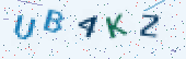Security code image